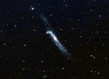 Himmelsvorschau NGC 4656 – Hockeyschläger-Galaxie