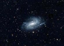 Himmelsvorschau NGC 925 – NGC 925